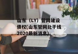 山东（LY）管网建设债权(山东管网北干线2020最新消息)