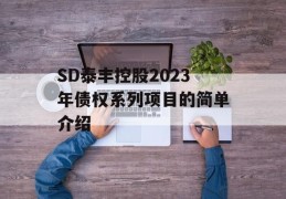 SD泰丰控股2023年债权系列项目的简单介绍