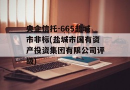 央企信托-665盐城市非标(盐城市国有资产投资集团有限公司评级)