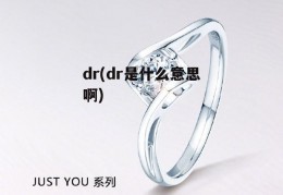 dr(dr是什么意思啊)