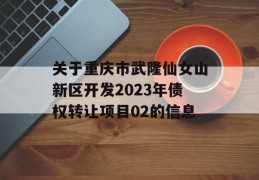 关于重庆市武隆仙女山新区开发2023年债权转让项目02的信息