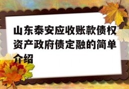 山东泰安应收账款债权资产政府债定融的简单介绍