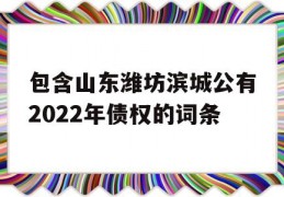 包含山东潍坊滨城公有2022年债权的词条