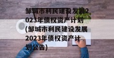 邹城市利民建设发展2023年债权资产计划(邹城市利民建设发展2023年债权资产计划公告)