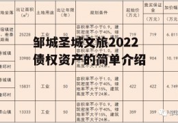 邹城圣城文旅2022债权资产的简单介绍