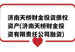 济南天桥财金投资债权资产(济南天桥财金投资有限责任公司融资)