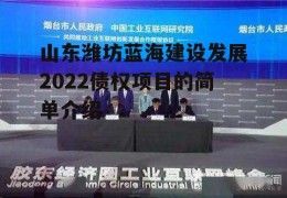 山东潍坊蓝海建设发展2022债权项目的简单介绍