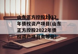 山东正方控股2022年债权资产项目(山东正方控股2022年债权资产项目有哪些)