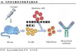 单克隆抗体(单克隆抗体定义)