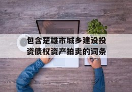 包含楚雄市城乡建设投资债权资产拍卖的词条