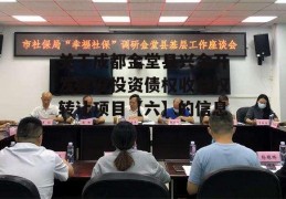 关于成都金堂县兴金开发建设投资债权收益权转让项目【六】的信息