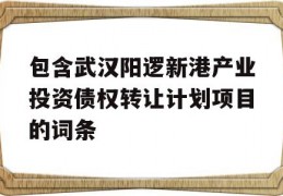 包含武汉阳逻新港产业投资债权转让计划项目的词条