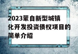 2023蒙自新型城镇化开发投资债权项目的简单介绍