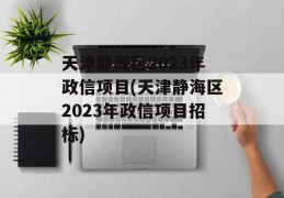 天津静海区2023年政信项目(天津静海区2023年政信项目招标)