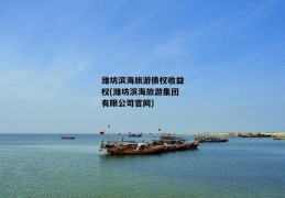 潍坊滨海旅游债权收益权(潍坊滨海旅游集团有限公司官网)