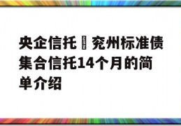 央企信托–兖州标准债集合信托14个月的简单介绍