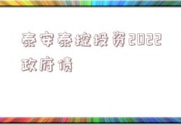 泰安泰控投资2022政府债