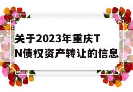 关于2023年重庆TN债权资产转让的信息