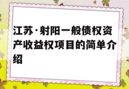 江苏·射阳一般债权资产收益权项目的简单介绍