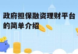 政府担保融资理财平台的简单介绍