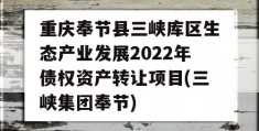 重庆奉节县三峡库区生态产业发展2022年债权资产转让项目(三峡集团奉节)