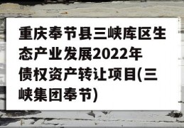 重庆奉节县三峡库区生态产业发展2022年债权资产转让项目(三峡集团奉节)