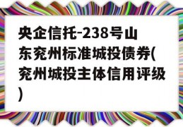 央企信托-238号山东兖州标准城投债券(兖州城投主体信用评级)