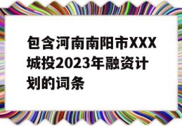 包含河南南阳市XXX城投2023年融资计划的词条