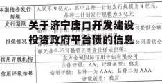 关于济宁唐口开发建设投资政府平台债的信息