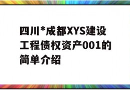 四川*成都XYS建设工程债权资产001的简单介绍