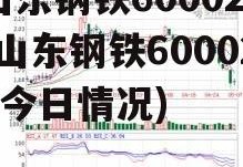 山东钢铁600022(山东钢铁600022今日情况)