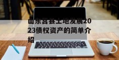 山东莒县土地发展2023债权资产的简单介绍