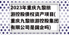 2023年重庆九黎旅游控股债权资产项目(重庆九黎旅游控股集团有限公司是国企吗)