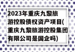 2023年重庆九黎旅游控股债权资产项目(重庆九黎旅游控股集团有限公司是国企吗)