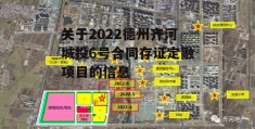 关于2022德州齐河城投6号合同存证定融项目的信息