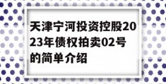 天津宁河投资控股2023年债权拍卖02号的简单介绍