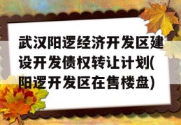 武汉阳逻经济开发区建设开发债权转让计划(阳逻开发区在售楼盘)