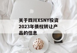 关于四川XSNY投资2023年债权转让产品的信息