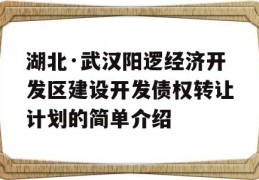 湖北·武汉阳逻经济开发区建设开发债权转让计划的简单介绍