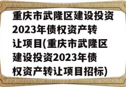 重庆市武隆区建设投资2023年债权资产转让项目(重庆市武隆区建设投资2023年债权资产转让项目招标)