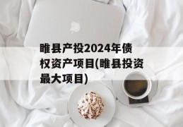 睢县产投2024年债权资产项目(睢县投资最大项目)