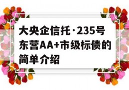 大央企信托·235号东营AA+市级标债的简单介绍