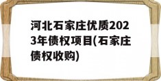 河北石家庄优质2023年债权项目(石家庄债权收购)