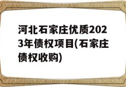 河北石家庄优质2023年债权项目(石家庄债权收购)