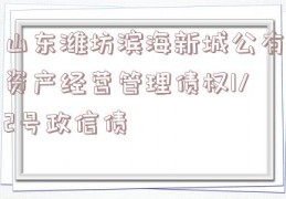 山东潍坊滨海新城公有资产经营管理债权1/2号政信债