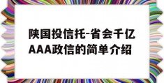 陕国投信托-省会千亿AAA政信的简单介绍