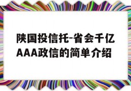 陕国投信托-省会千亿AAA政信的简单介绍