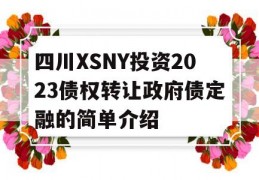 四川XSNY投资2023债权转让政府债定融的简单介绍