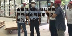 山东潍坊峡山绿科城投债券(峡山绿科集团控制的上市公司)