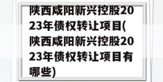 陕西咸阳新兴控股2023年债权转让项目(陕西咸阳新兴控股2023年债权转让项目有哪些)